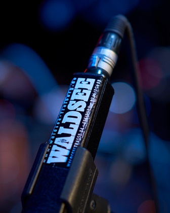 Waldsee Mikrofon Impression